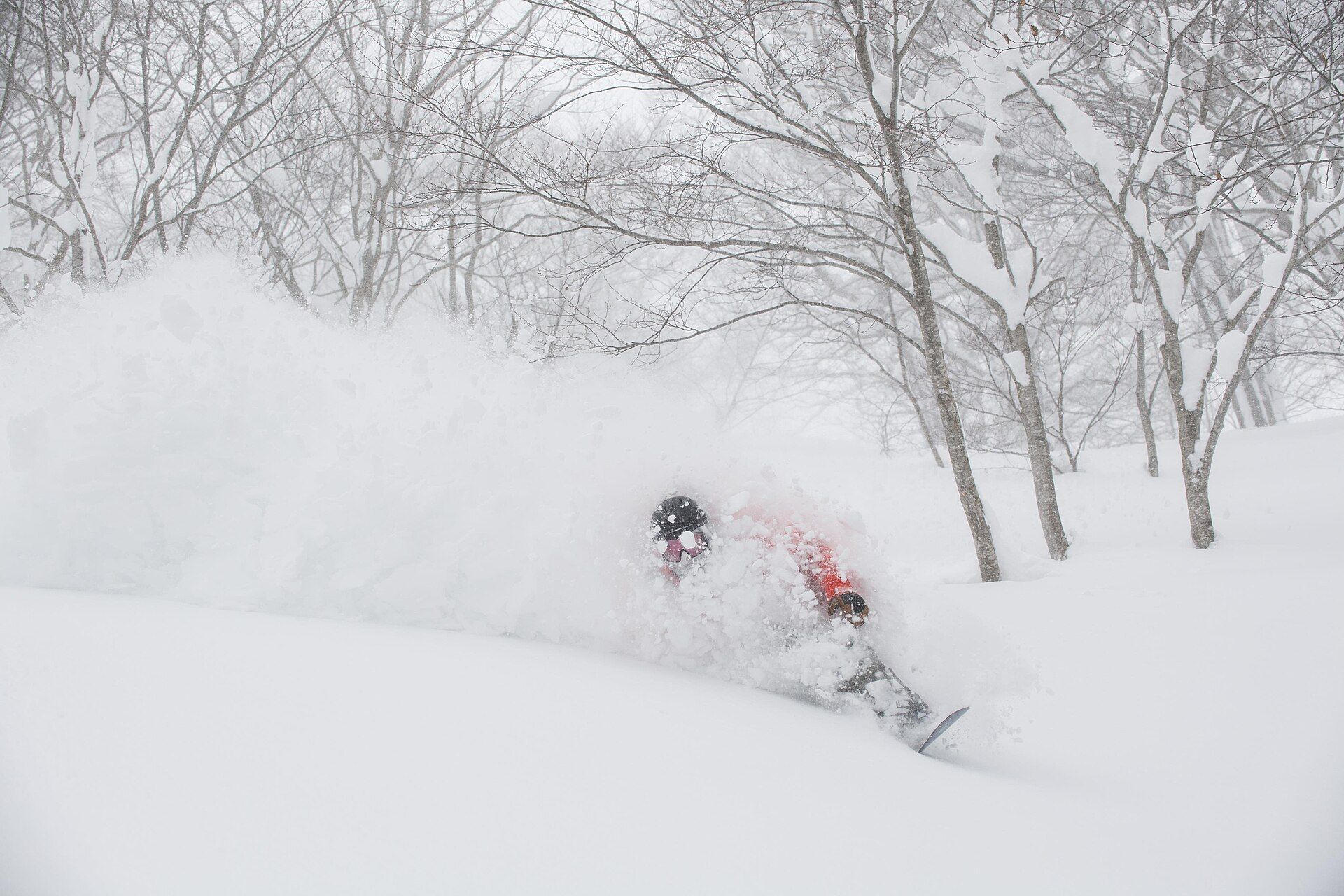 A snowboarder in a red jacket riding through deep powder in a Japanese tree run.