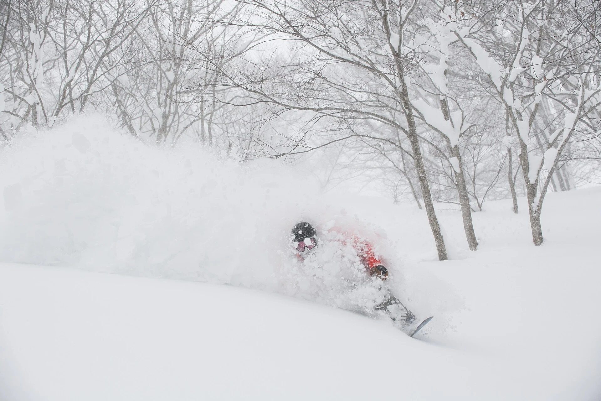 A snowboarder in a red jacket riding through deep powder in a Japanese tree run.