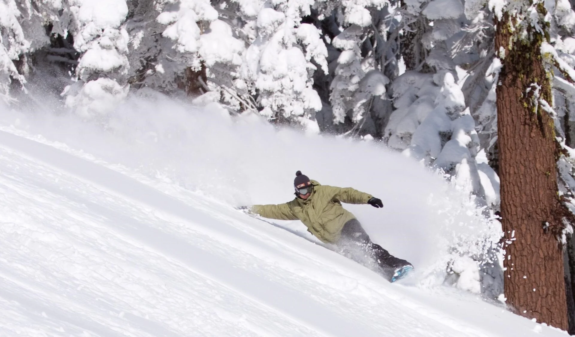 A snowboarder completing a balanced turn through soft snow between snow-covered trees.