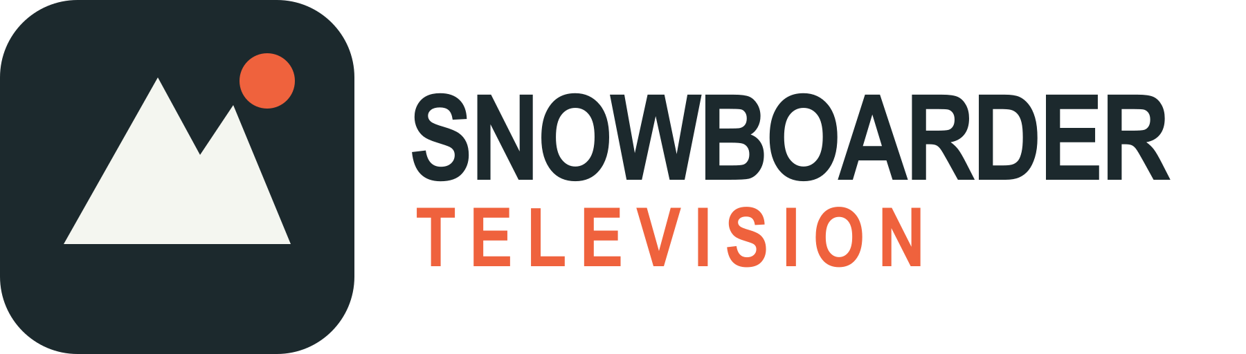 Preview of the SBTV horizontal wordmark